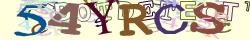Retype the CAPTCHA code from the image